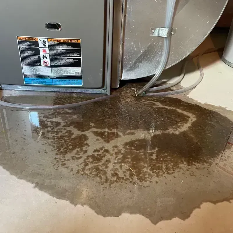 Appliance Leak Cleanup in Cheyenne, WY